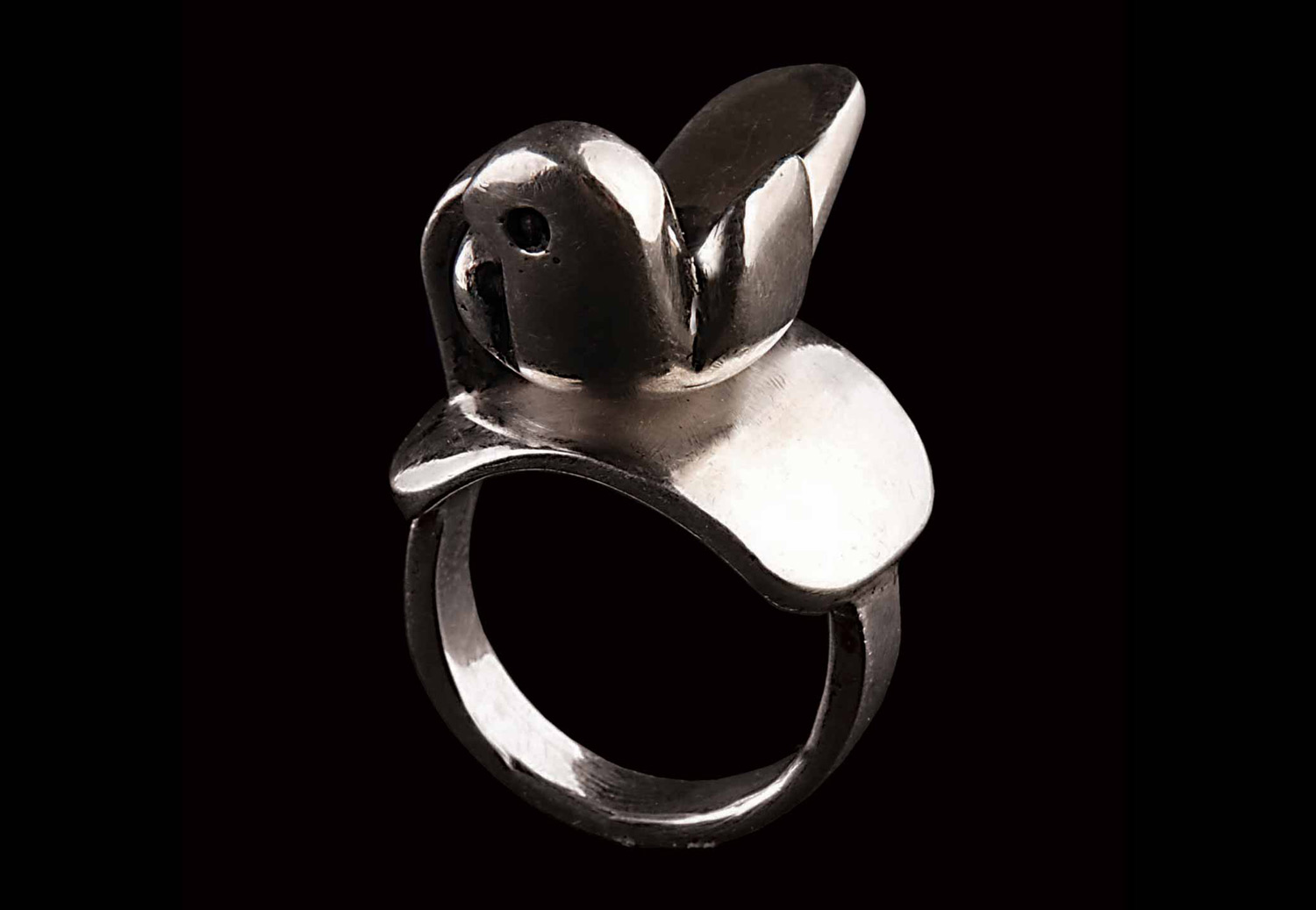 Bird Ring 2