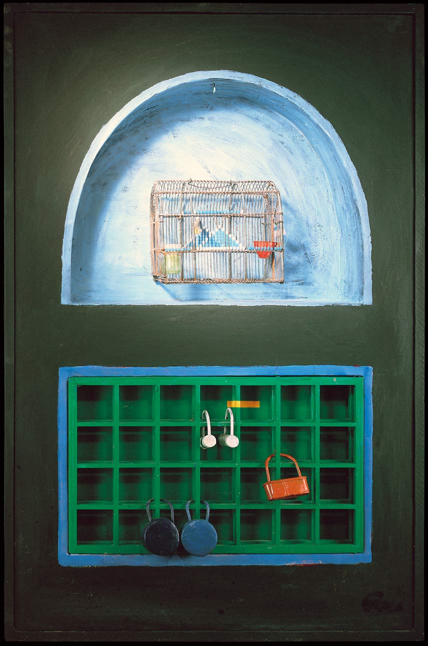 Cage and Locks